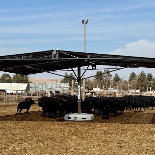 Click to Visit Easy Shade® Page